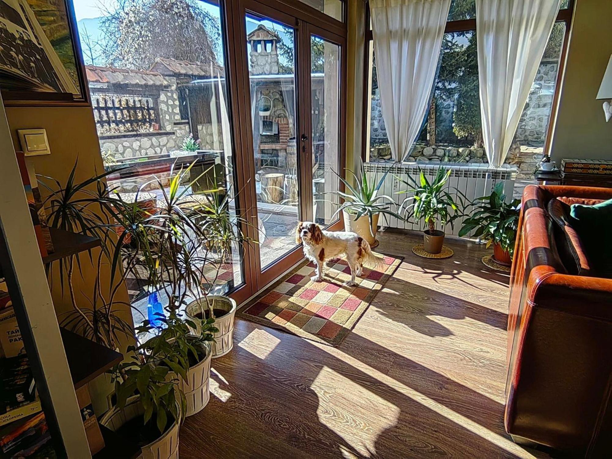 Hotel Famil - Adults Only Bansko Bagian luar foto