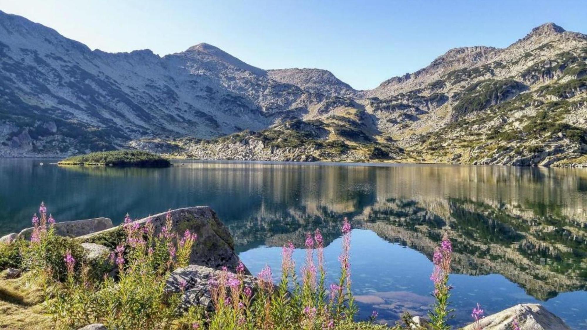 Hotel Famil - Adults Only Bansko Bagian luar foto